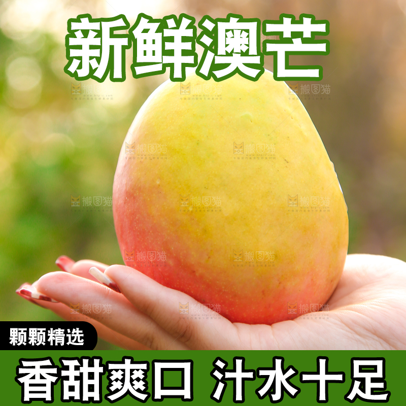 手里拿着新鲜澳芒