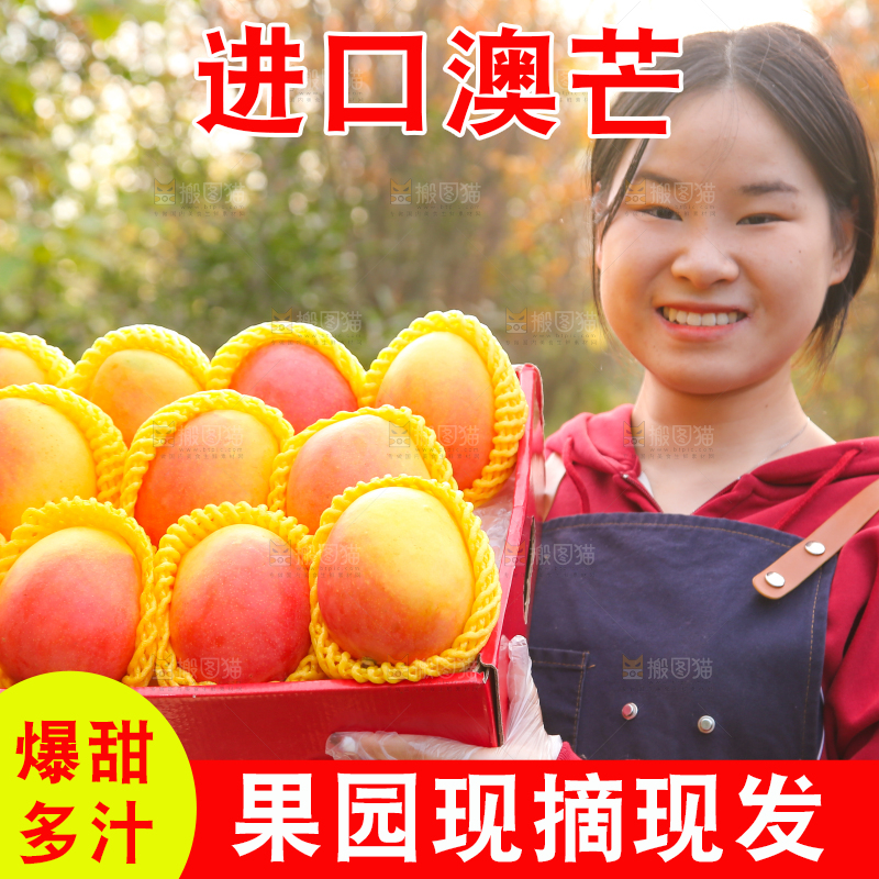 手里拿着新鲜澳芒