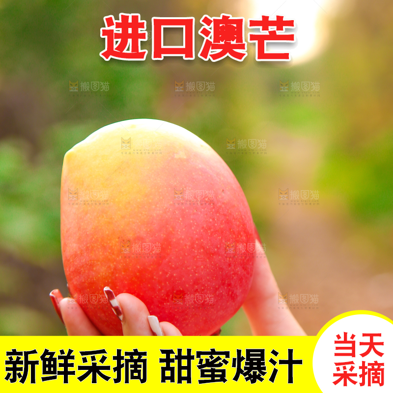 手里拿着新鲜澳芒