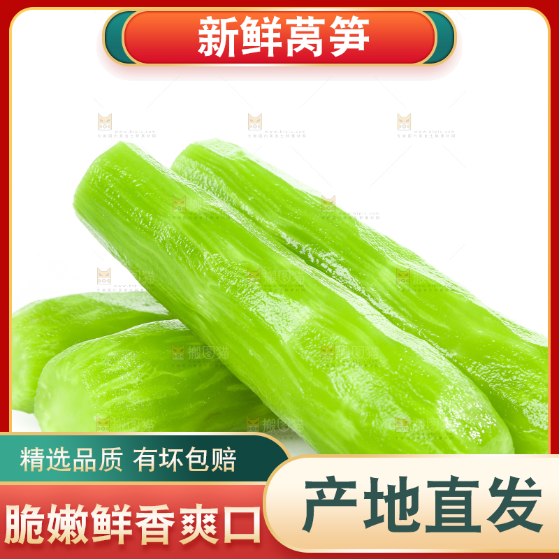 白底上的新鲜莴笋