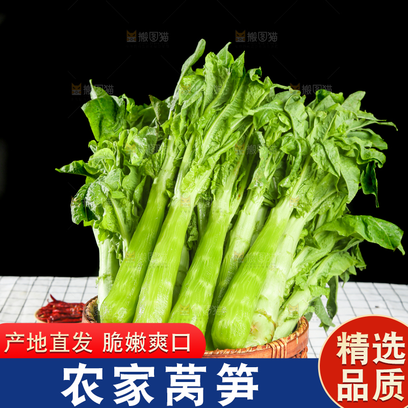 浅底上的莴笋