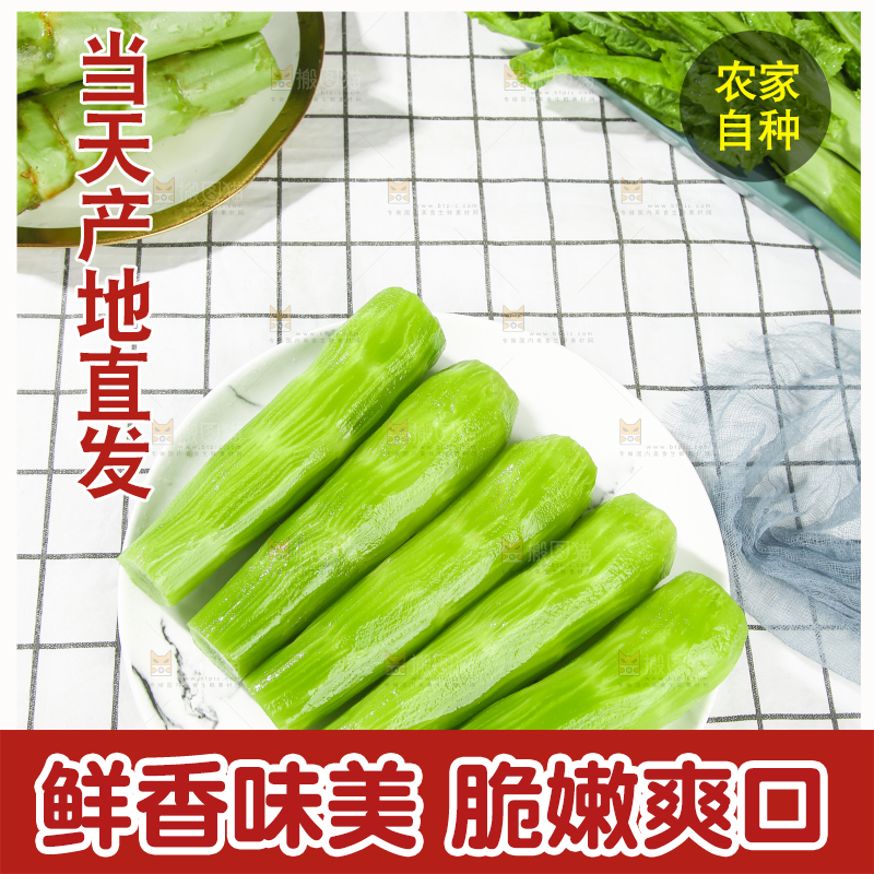 浅底上的莴笋