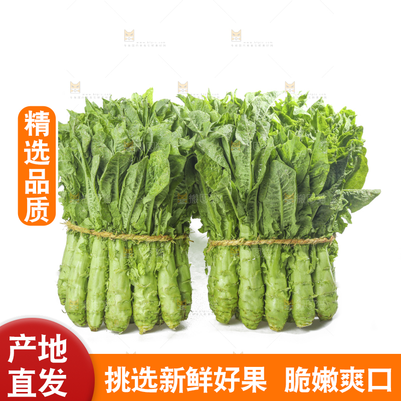 白底上的新鲜莴笋