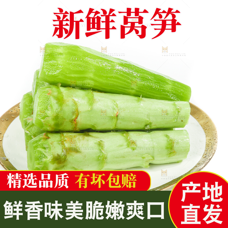 白底上的新鲜莴笋