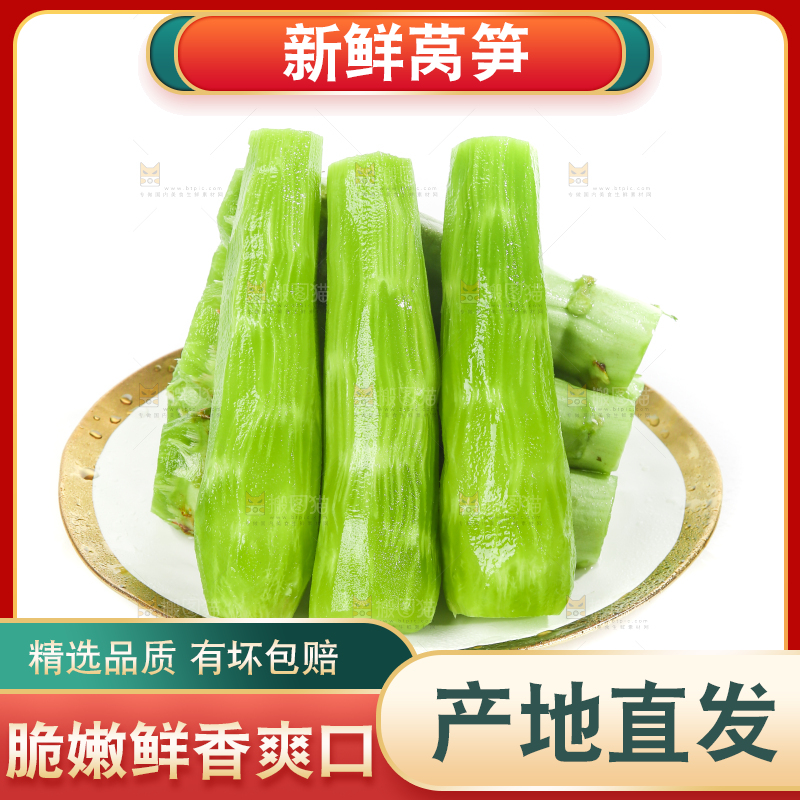 白底上的新鲜莴笋