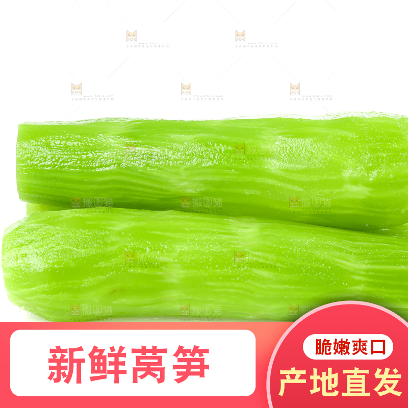白底上的新鲜莴笋