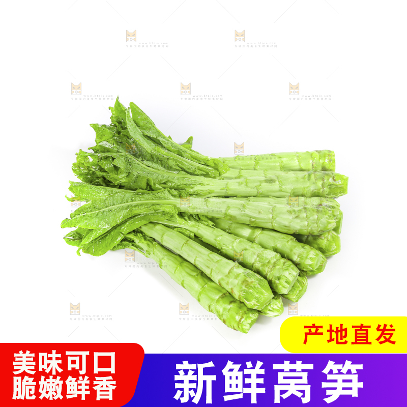 白底上的新鲜莴笋