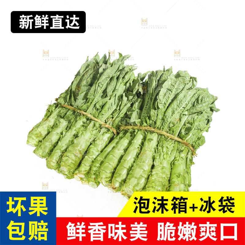 白底上的新鲜莴笋