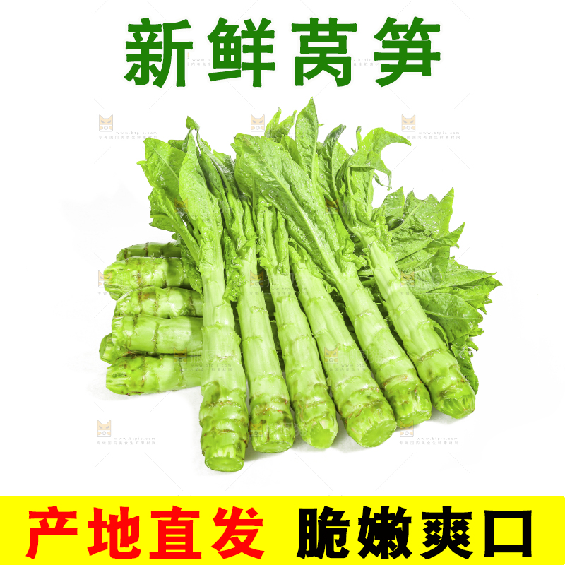 白底上的新鲜莴笋