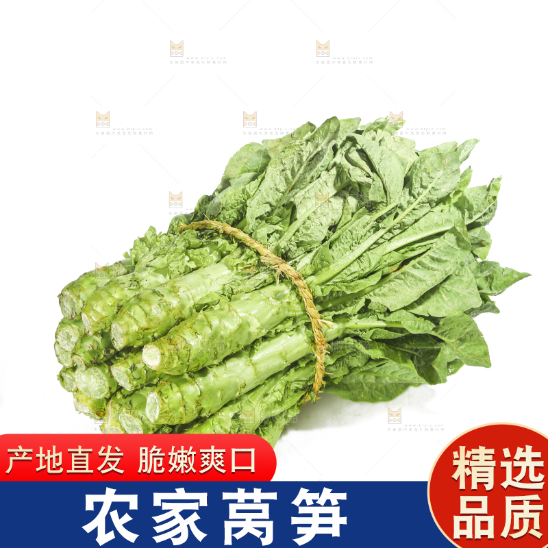 白底上的新鲜莴笋