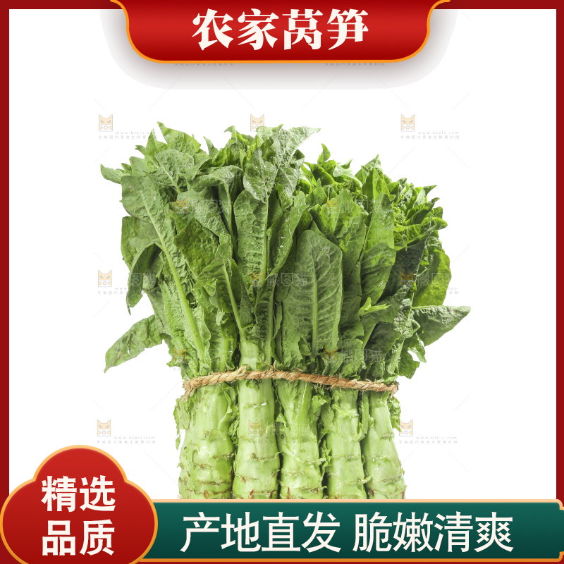 白底上的新鲜莴笋