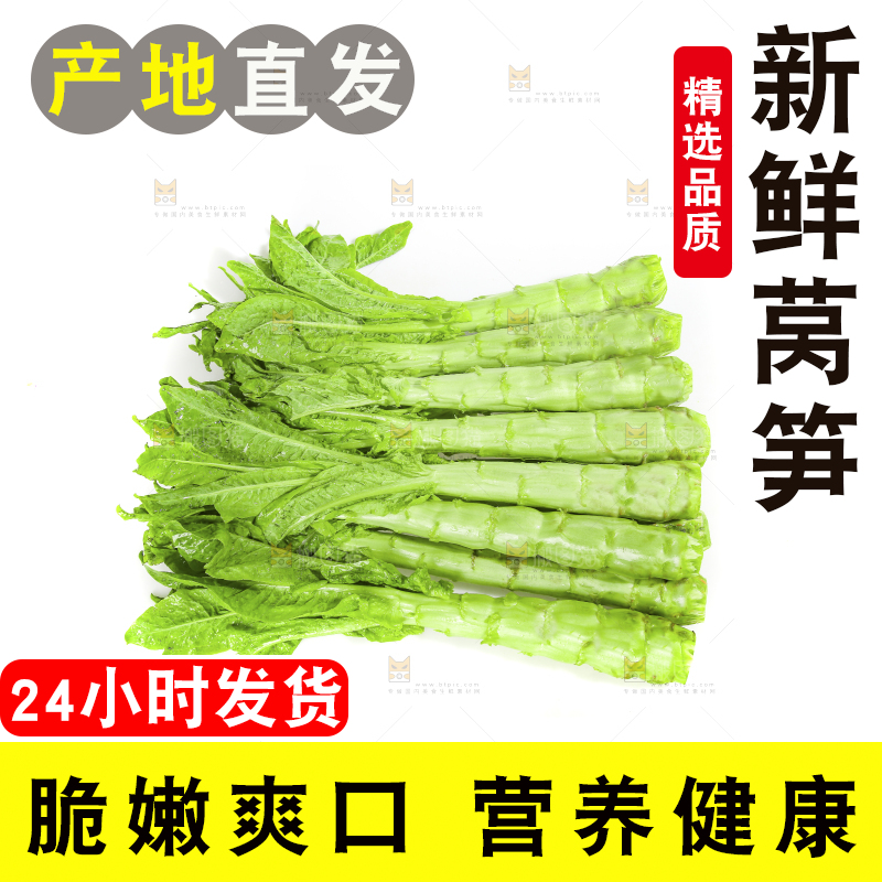 白底上的新鲜莴笋