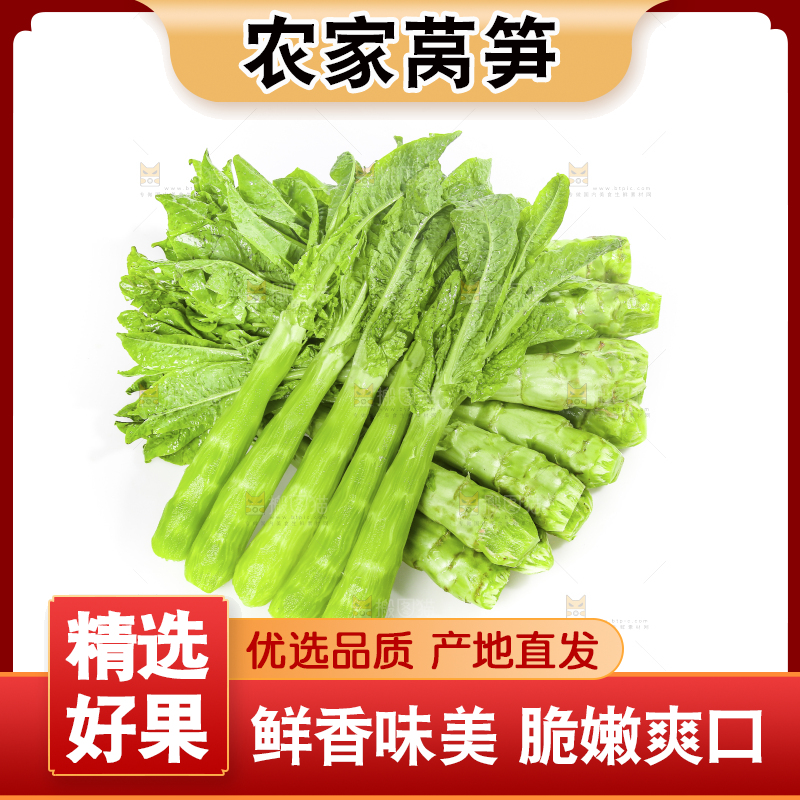 白底上的新鲜莴笋
