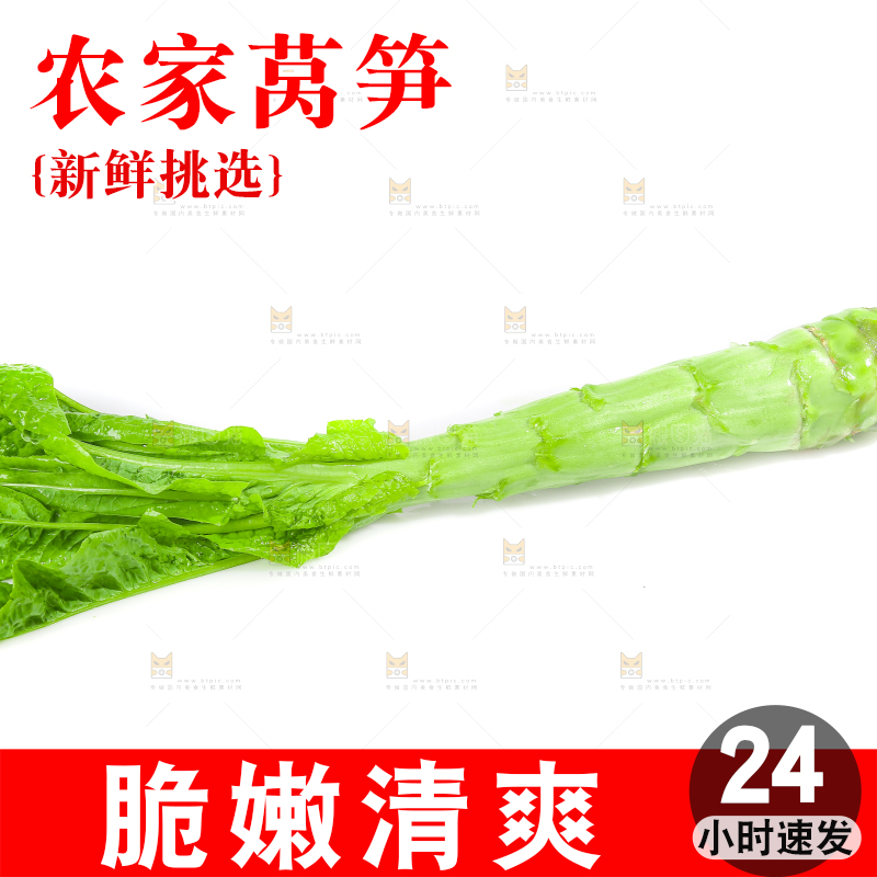 白底上的新鲜莴笋