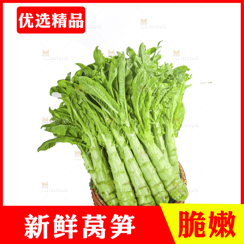 白底上的新鲜莴笋