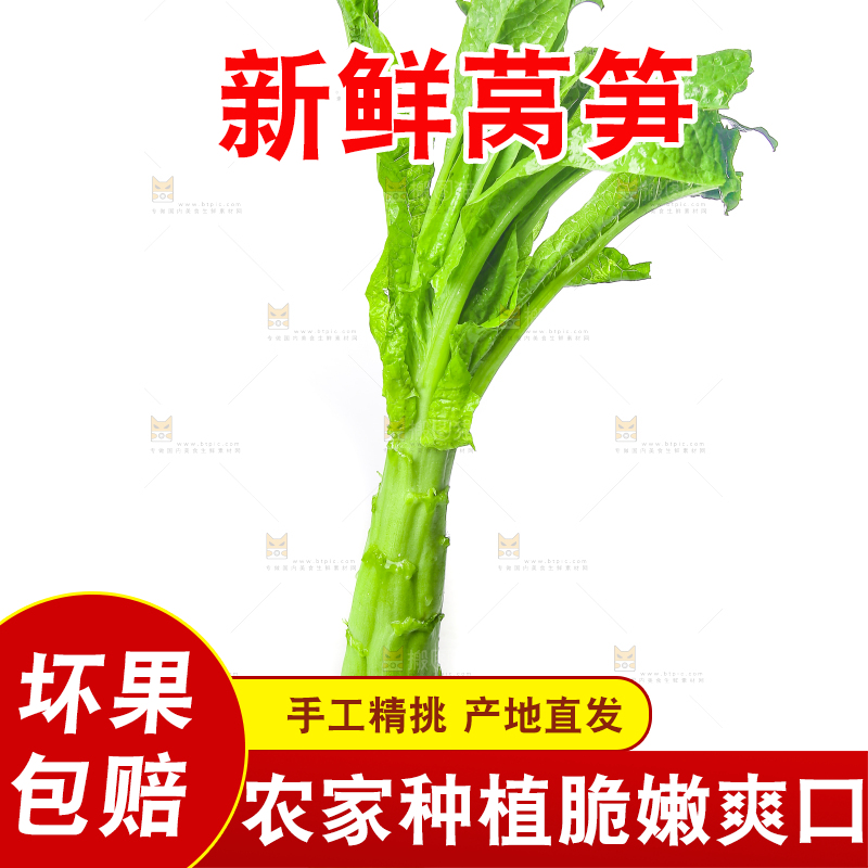 白底上的新鲜莴笋