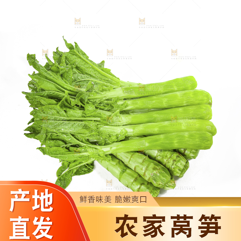 白底上的新鲜莴笋