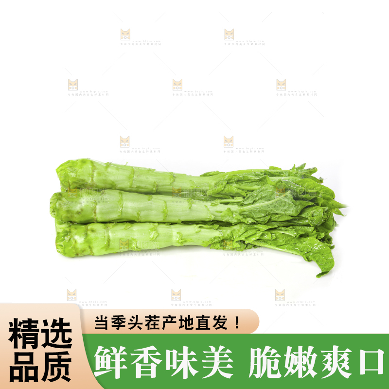 白底上的新鲜莴笋