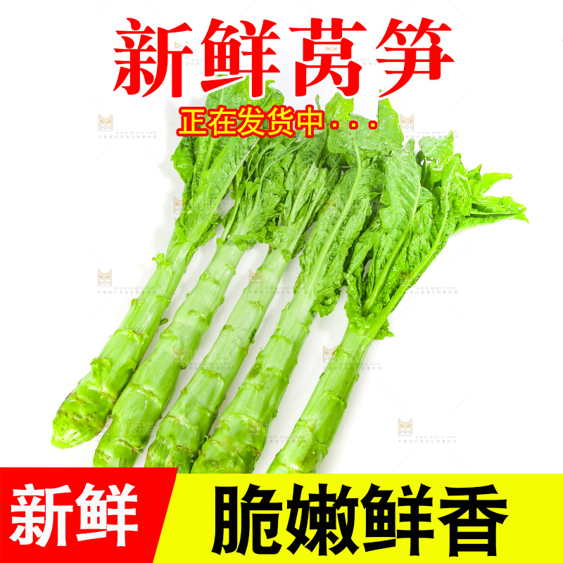 白底上的新鲜莴笋