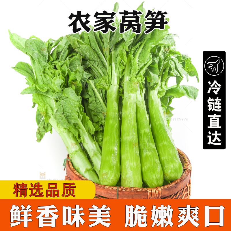 白底上的新鲜莴笋