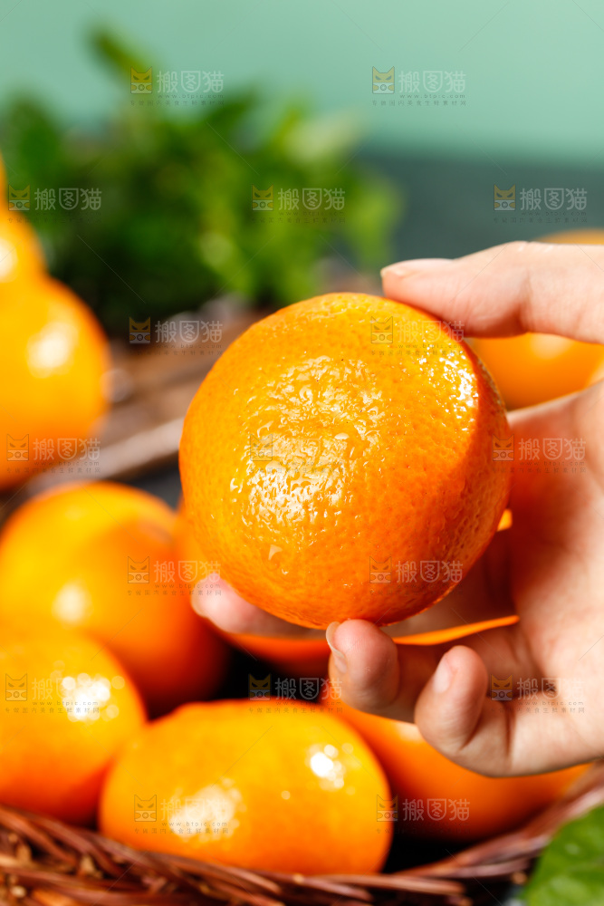 深底上的沃柑