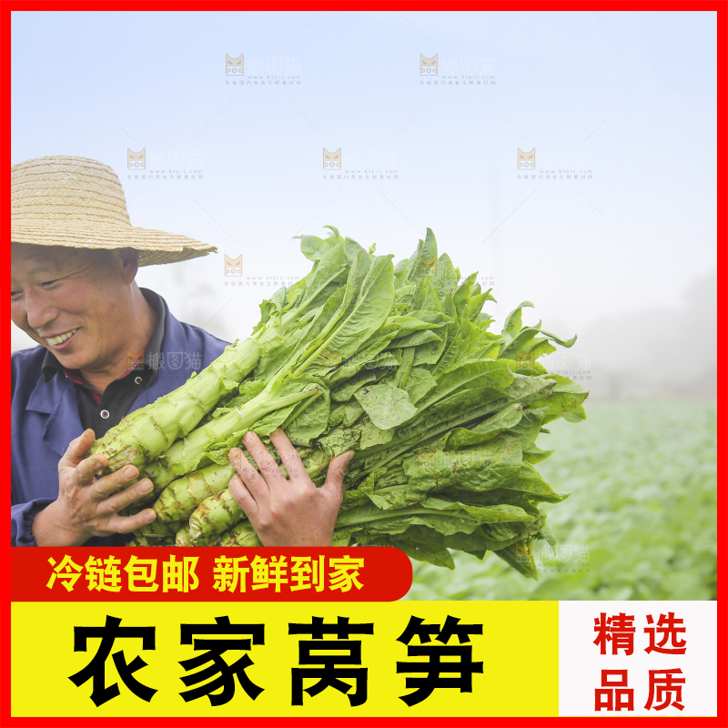 手里拿着新鲜莴笋