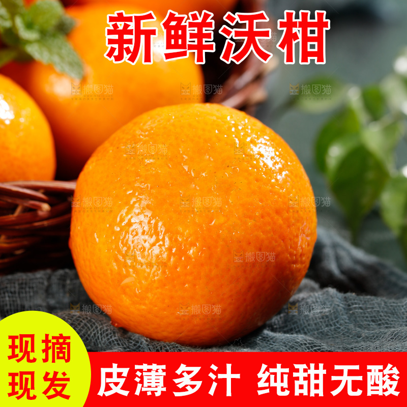 深底上的沃柑