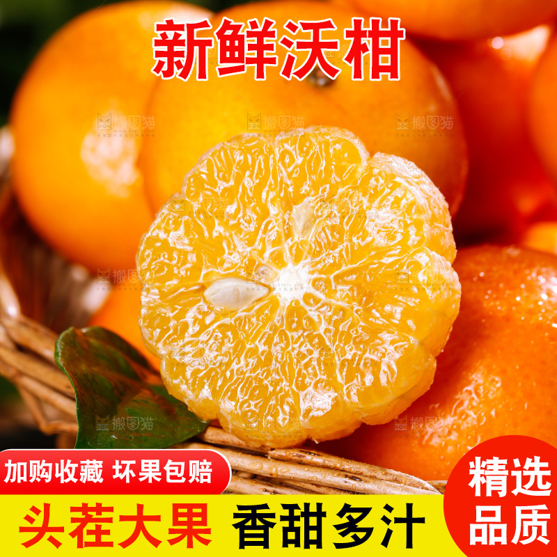深底上的沃柑
