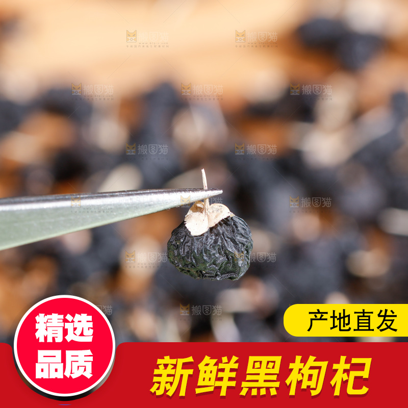 浅底上的黑枸杞