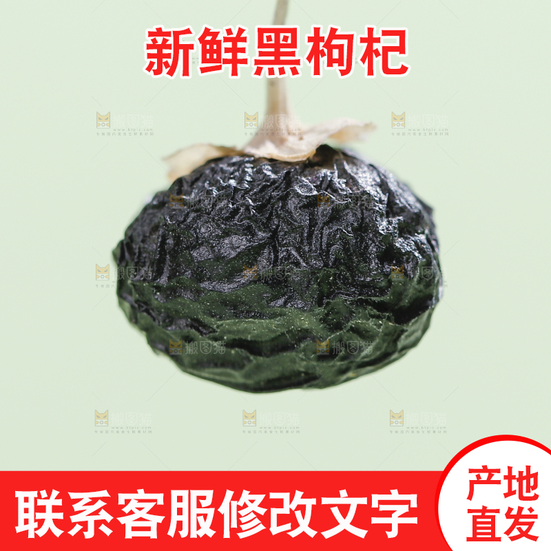 浅底上的黑枸杞