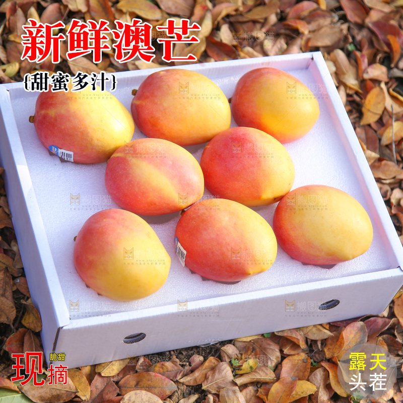 地上放着一盒澳芒