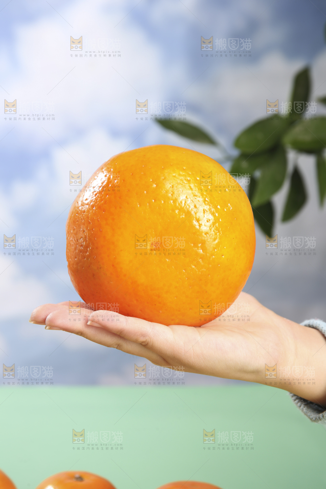 浅底上的沃柑