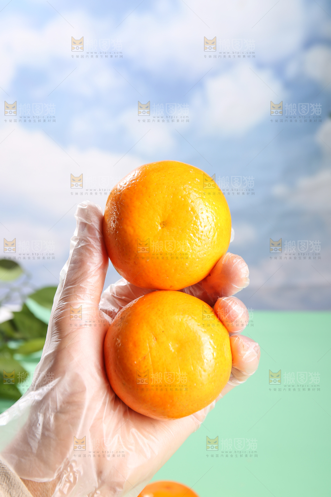 浅底上的沃柑