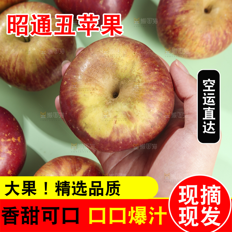 浅底上的昭通丑苹果