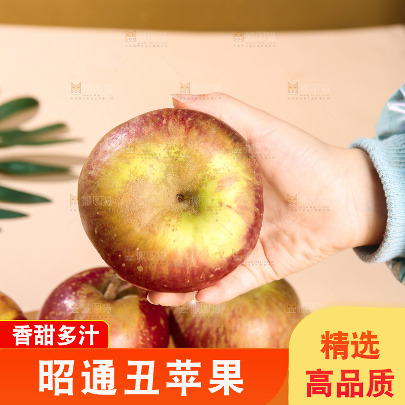 浅底上的昭通丑苹果