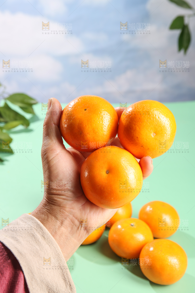 浅底上的沃柑