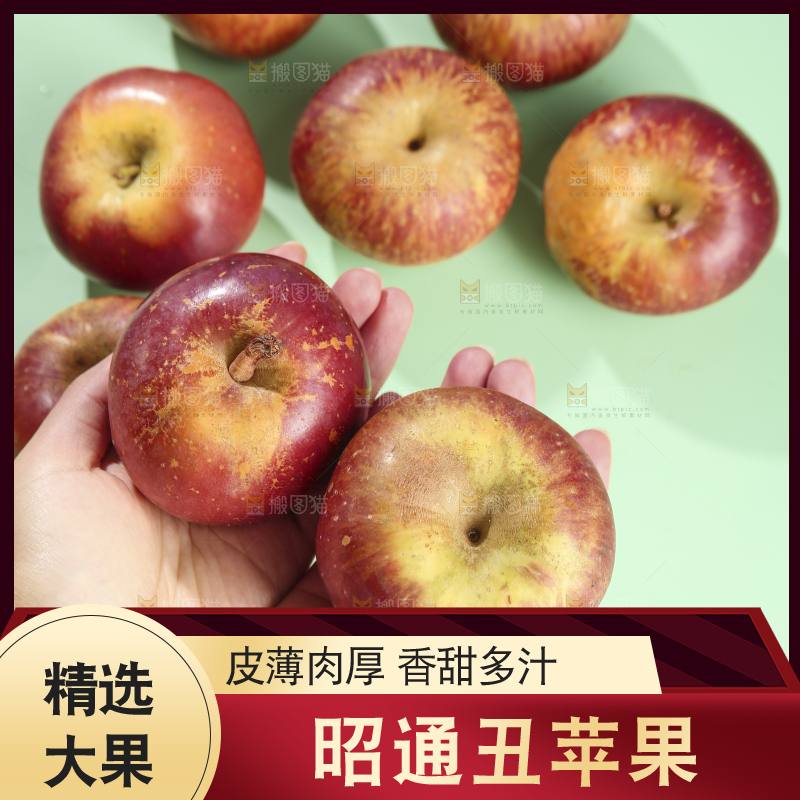 浅底上的昭通丑苹果