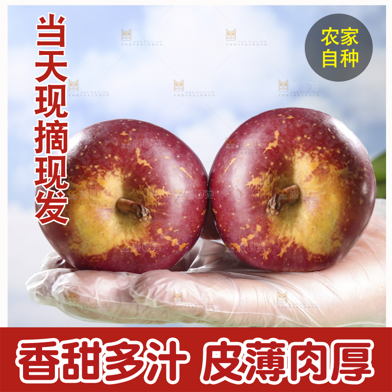 浅底上的昭通丑苹果