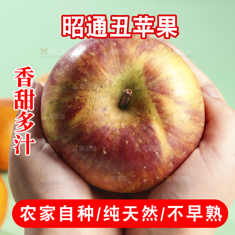 浅底上的昭通丑苹果