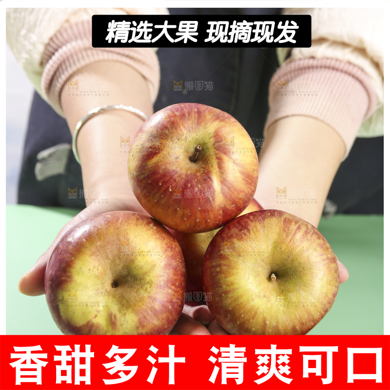 浅底上的昭通丑苹果