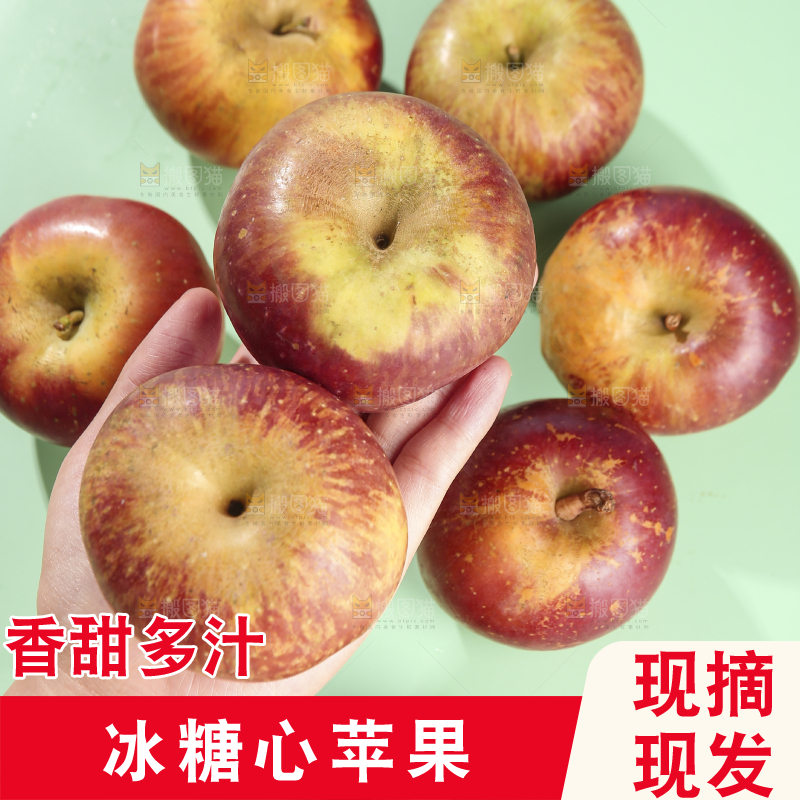 浅底上的昭通丑苹果