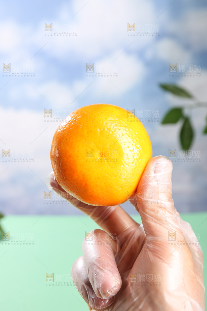 浅底上的沃柑