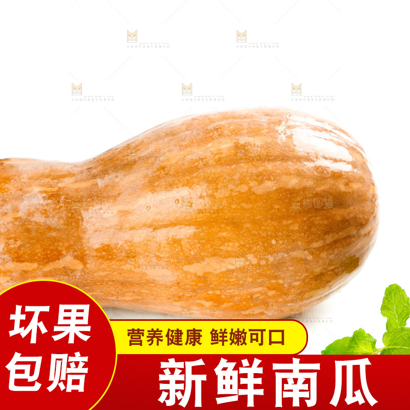 白底上的老南瓜