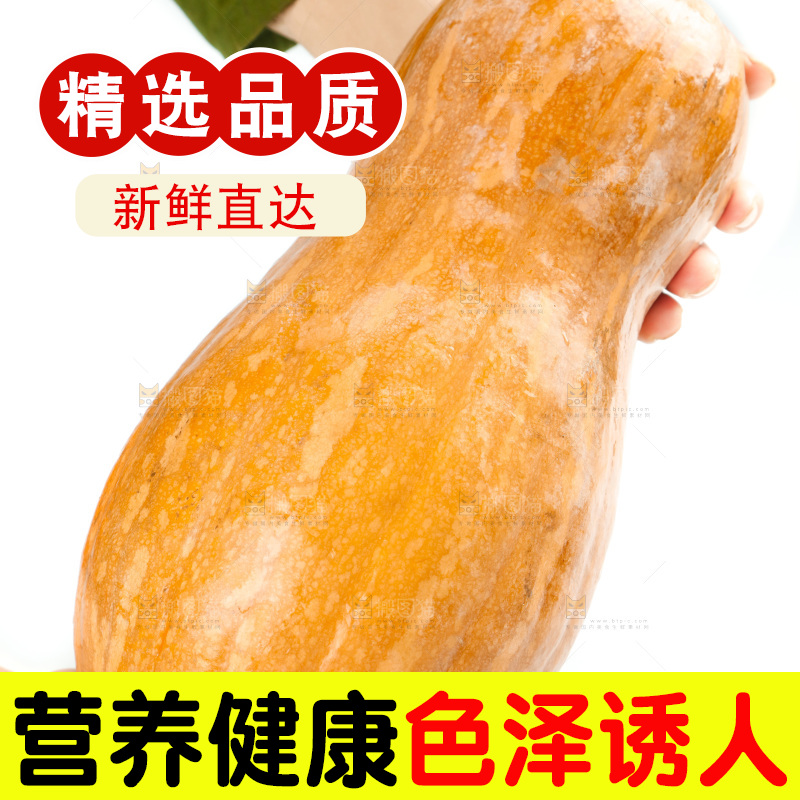 白底上的老南瓜