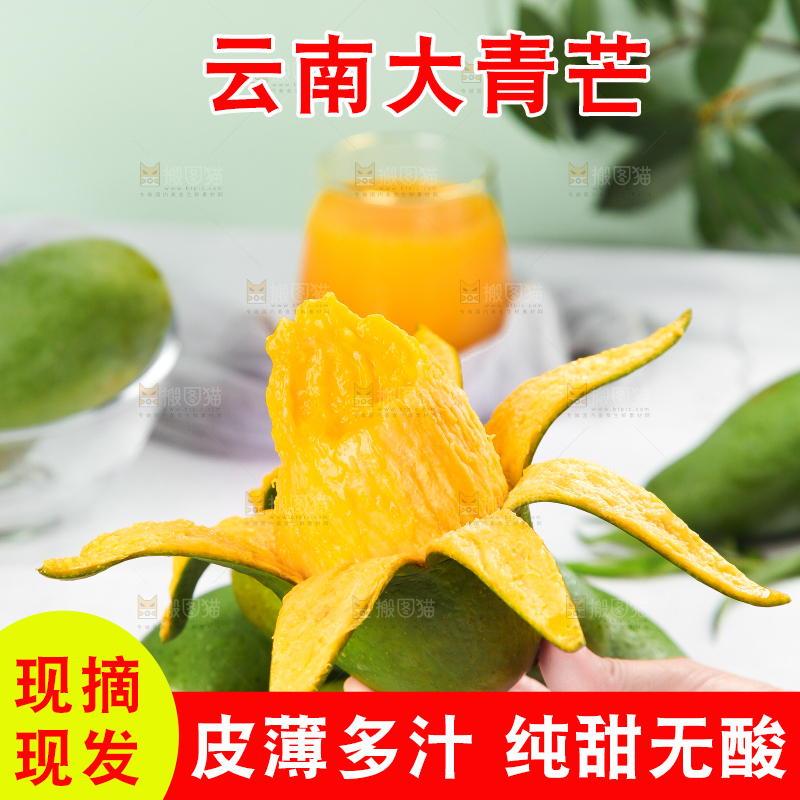 浅底上的新鲜大青芒