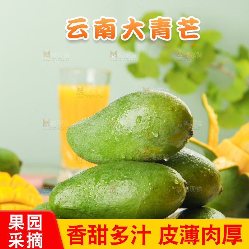 浅底上的新鲜大青芒