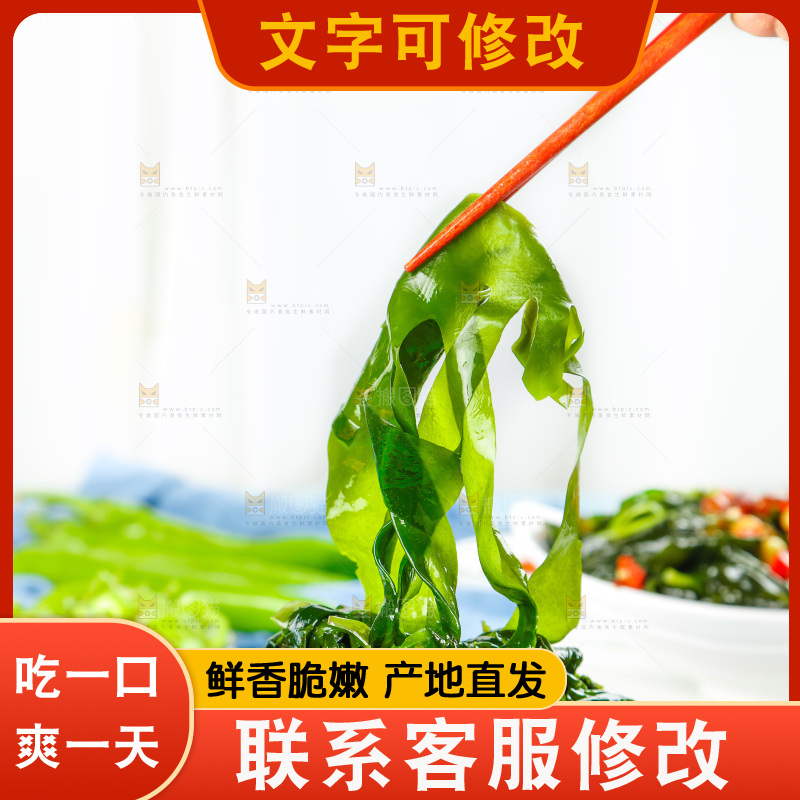浅底上的裙带菜
