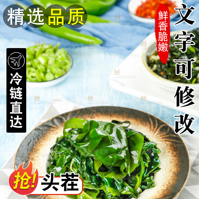 浅底上的裙带菜