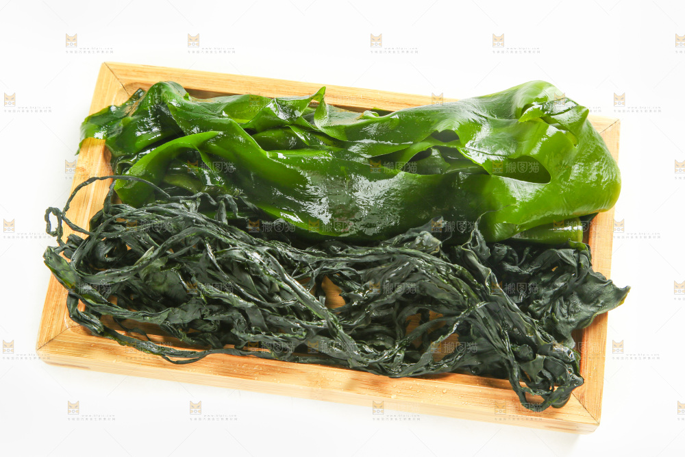 白底上的裙带菜