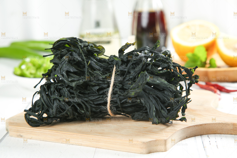浅底上的裙带菜
